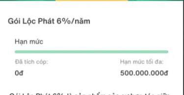 Dau tu va tiet kiem Tikop-02